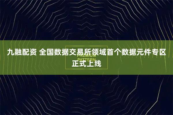 九融配资 全国数据交易所领域首个数据元件专区正式上线